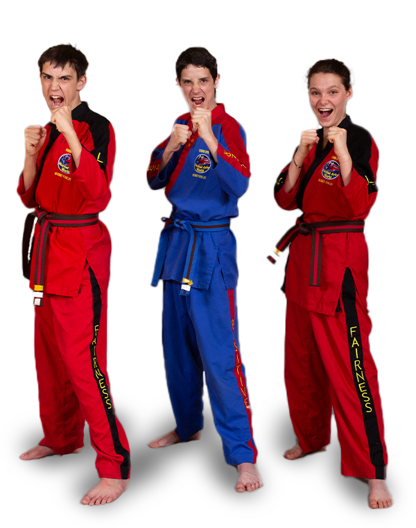 Adult Martial Arts Classes in Hunters Creek